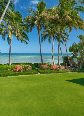 01 Yard to ocean 4679 B Kahala Ave