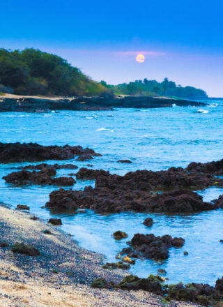 HL Big Island 000066382095